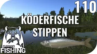 RUSSIAN FISHING 4 #110 - KÖDERFISCHE STIPPEN! 🎣 || PantoffelPlays