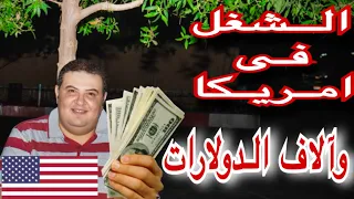 احسن وظائف فى امريكا وبدون خبرة