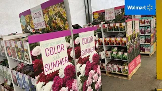 WALMART GARDEN CENTER March 2023| Shop with me for Summer Blooming Bulbs 💐🌻🌺