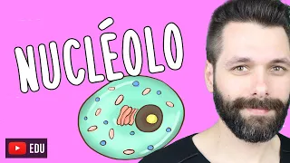 NUCLÉOLO - Função e Estrutura | Biologia com Samuel Cunha