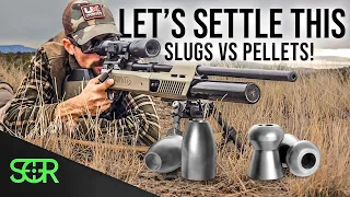 Is it EVEN Worth It to SHOOT SLUGS in "BUDGET" Airguns???