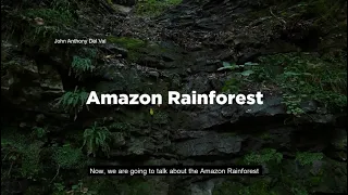 "The Fires of Amazon: A Take on the Burning of the Amazon Rainforest"