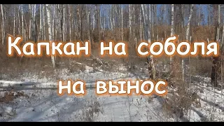 Капкан на соболя на вынос