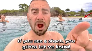 Are There Sharks In Hawaii??