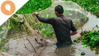 Net Fishing in the Mekong (Lưới Cá ở Mekong)