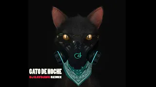 Gato De Noche (DJ KAYDAWG REMIX) - Ñengo Flow x Bad Bunny