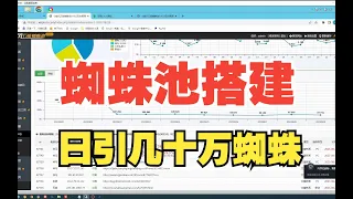 黑帽seo小旋风万能蜘蛛池怎么用搭建引流教学技术教程日收录上万