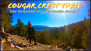 Cougar Crest Trail Hike - San Bernardino National Forest