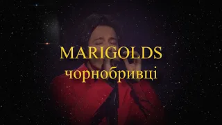 Marigolds - Dimash Kudaibergen (Subtitulado al español)