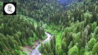 Flying over Enchanted Forest 4K - Aerial Drone Film w/ Celtic Music for Relaxing & Stress Relief