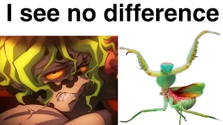 ULTIMATE DEMON SLAYER MEMES 4