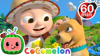 I Love the Mountains | Cocomelon | Best Animal Videos for Kids | Kids Songs and Nursery Rhymes