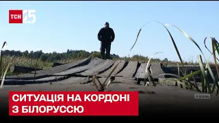 ⚡ Напруга на кордоні: як українці на Волині готуються до можливого наступу з Білорусі