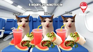 Cat MeMes Family Vacation FULL