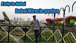 Dubai Miracle garden walk around(SHORT)