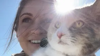Woman does sweetest thing for cat's final years