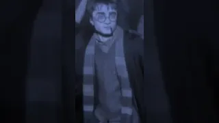 Harry Potter Hogwarts Party 2024 Du Hast Гарри Поттер Вечеринка