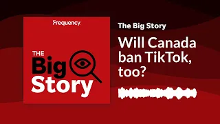 Will Canada ban TikTok, too? | The Big Story