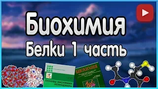 Биохимия. Лекция 2. Белки. Уровни организации белков. Функции белков.