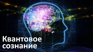 Квантовое сознание человека | Теория квантового нейрокомпьютинга