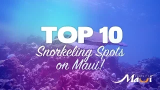 TOP 10 Snorkeling Spots on Maui - Pride of Maui