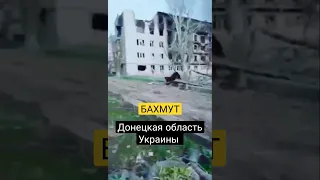 ВИДЕО #БАХМУТА в #Донецкой области #Украины сегодня 8 апреля 2023 года - зона боевых действий с рф