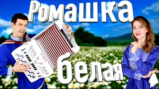 ❤️БОЖЕ! КАКИЕ КРАСИВЫЕ ГОЛОСА! Ромашка белая.