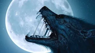 HORROR WOLF HOWLING SOUND EFFECTS . #soundeffects