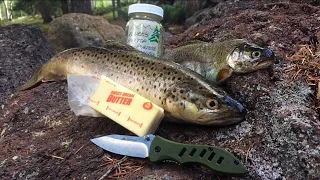 Brown and Rainbow Trout Catch n’ Cook! Simple and Delicious 🎣