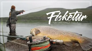 Fishing in Finnmark, Norway Lapland [ENG SUB]