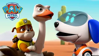 Robo-kuty megmenti Rubble-t egy elszökött strucctól! - Mancs Őrjárat - PAW Patrol epizód Magyar