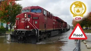 Trains in the Water - CP Trains Plow Through the Flooded Mississippi Waters! - October 2018