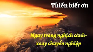 Thiền LÒNG BIẾT ƠN THỰC HÀNH TRONG NGHỊCH CẢNH |  LƯU THANH THÙY