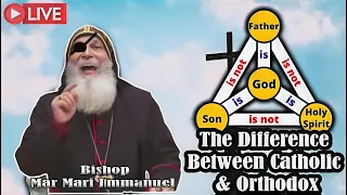 Bishop Mar Mari Emmanuel Explains The Difference Between Catholic & Orthodox