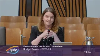 Finance and Constitution Committee - 29 January 2020