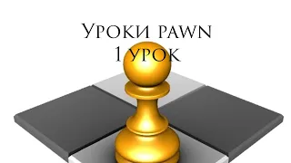 Уроки pawn #1♟️♟️