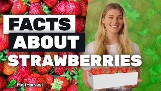 Facts About Strawberries