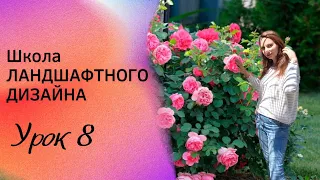 Школа ЛАНДШАФТНОГО ДИЗАЙНА. Урок 8.