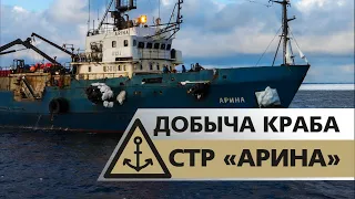 Видео.  Добыча краба, судно крабового промысла СТР-503 АРИНА, «Интеррыбфлот», Охотское море 2018 год