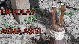 EN KOLAY ASMA AŞISI                 USTA ÇIRAK AYNI AŞIDA 😊