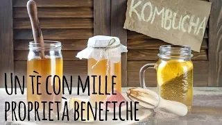 Cos’è il tè di Kombucha e che benefici porta