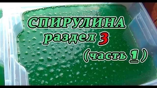 Спирулина. Раздел 3(часть 1)