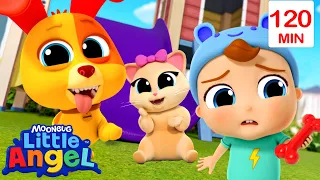 Bingo's Kitten Playdate | Little Angel | Nursery Rhymes for Babies