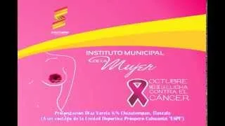 VIDEO INSTITUTO MUNICIPAL DE LA MUJER CHIAUTEMPAN 2014