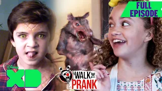 Wigging Out | S1 E11 | Full Episode | Walk the Prank | @disneyxd