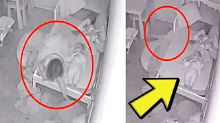 Mom Found In Bed With Son, Cops Horrified When They See What's Next To Them After