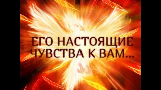 ЕГО НАСТОЯЩИЕ ЧУВСТВА К ВАМ… Гадание онлайн|Таро онлайн|Расклад Таро