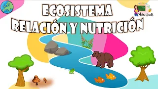 Ecosistema - Relación y Nutrición | Aula chachi - Vídeos educativos para niños