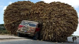 Dangerous Idiots Biggest Fastest Logging Wood Truck Operator, Heavy Equipment Fails Working