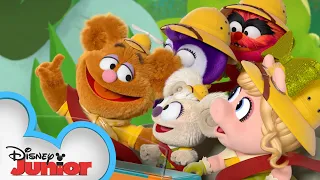 Backyard Safari | Muppet Babies | @disneyjunior